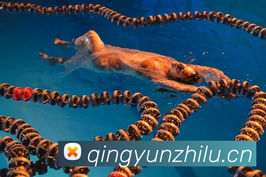 奖项2